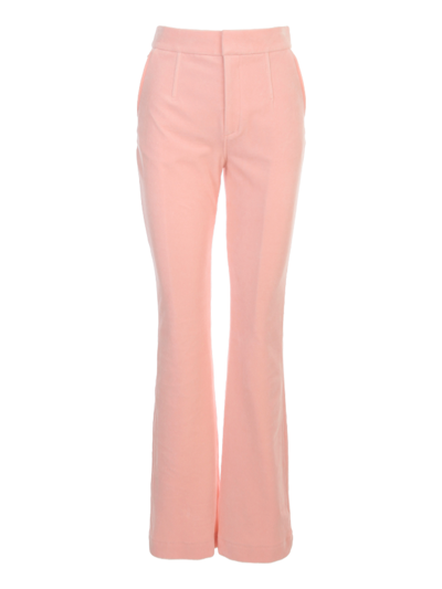 Alexander Wang Stacked Pant In Velour Tailoring In Pink