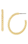 Allsaints Frozen Chain Hoop Earrings In Gold