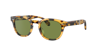 Oliver Peoples Man Sunglass Ov5471su Sheldrake 1950 In Green C