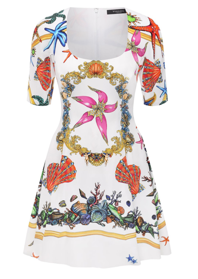 Versace Ladies Seaworld Print Dress In Multicolor
