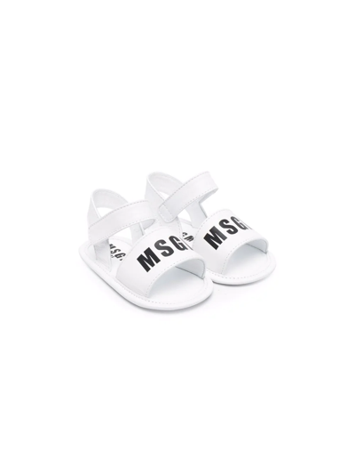 Msgm Babies' Logo印花露趾凉鞋 In White