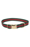 DOGS OF GLAMOUR STEFANO LUXURY COLLAR