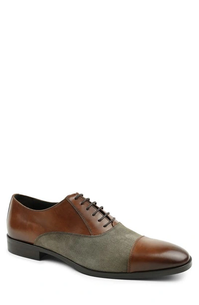 Bruno Magli Caymen Oxford In Cognac / Taupe Suede