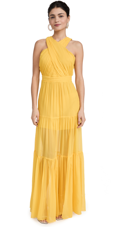 Veronica Beard Florencia Sleeveless Silk Maxi Dress In Yellow