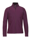 Baracuta Jackets In Mauve