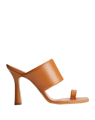 8 By Yoox Toe Strap Sandals In Brown