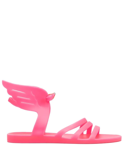 Ancient Greek Sandals Ikaria Jelly Sandals In Pink