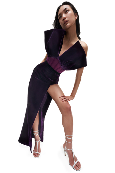 Azzi & Osta Velvet Purple Gown