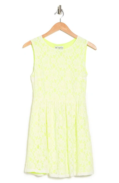 Papillon Sleeveless Lace Skater Dress In Ivory Green