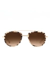 Krewe Breton Matte Oyster 24k Navigator Sunglasses In Matte Oyster 24k