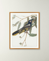 Wendover Art Group 'birds Of A Feather 1' Wall Art