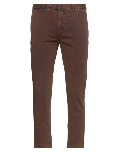 Pt Torino Pants In Brown
