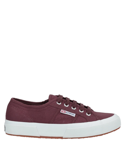 Superga Sneakers In Maroon