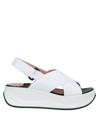 Gaimo Sandals In White