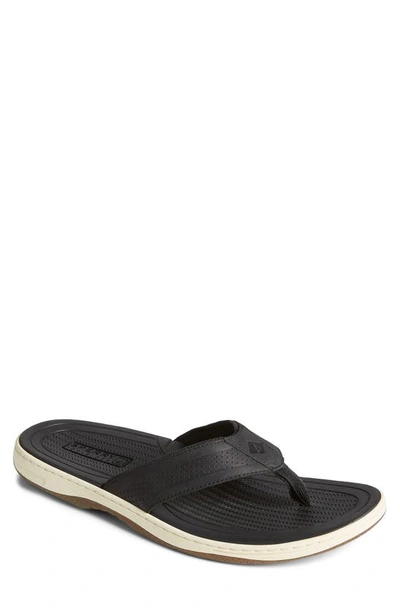 sperry havasu thong