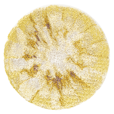 Doublet Cut Corn Embroidery Badge In Yellow