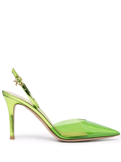 Gianvito Rossi Transparent Pointed Pumps In Green