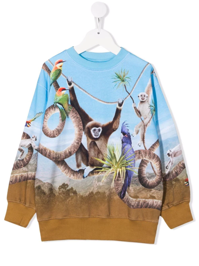Molo Kids' Mattis Monkey-print Organic Cotton Sweatshirt In Blue