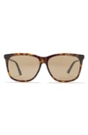 Gucci 60mm Square Sunglasses In Havana Brown