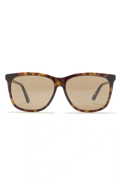 Gucci 60mm Square Sunglasses In Havana Brown