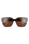 Balenciaga Brown Square Ladies Sunglasses Bb0056sa 002 56