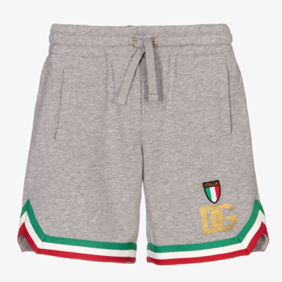 Dolce & Gabbana Babies' Boys Grey Jersey Shorts