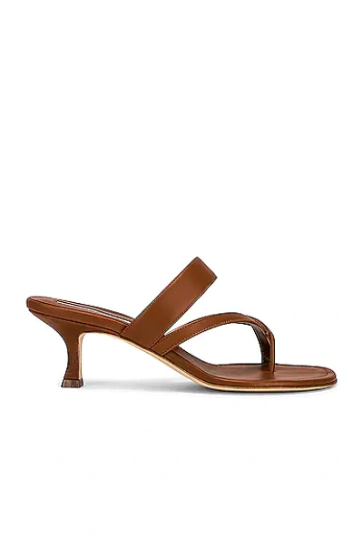 Manolo Blahnik Susa 50 Leather Sandal In Brown