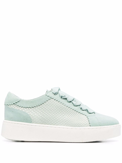 Geox Skyely Snakeskin-effect Sneakers In Light Green