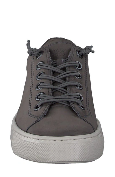 Paul Green Hadley Platform Sneaker In Iron Nubuk
