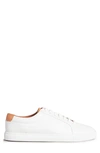 Ted Baker Udamo Leather Sneaker In White/ White