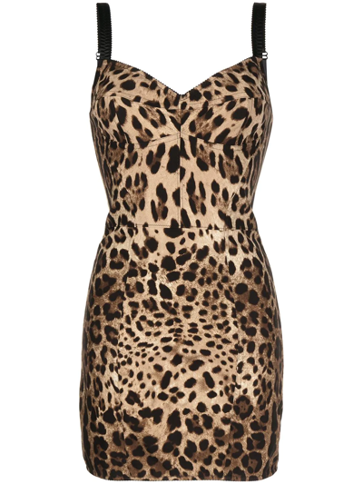 Dolce & Gabbana Leopard-print Dress In Multicolor