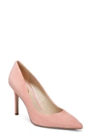 Sam Edelman Hazel Pointed Toe Pump In Canyon Clay