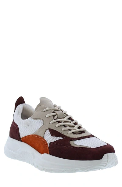 English Laundry Gerald Lace-up Sneaker In Brown