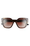 Prada 52mm Butterfly Polarized Sunglasses In Havana/ Brown Gradient