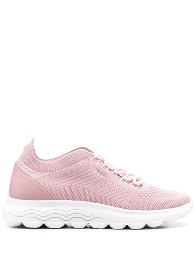Geox Spherica Knit Lace-up Sneakers In Rosa
