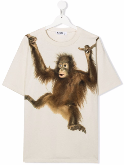 Molo Kids' Palmtree Monkey Organic-cotton T-shirt In Neutrals