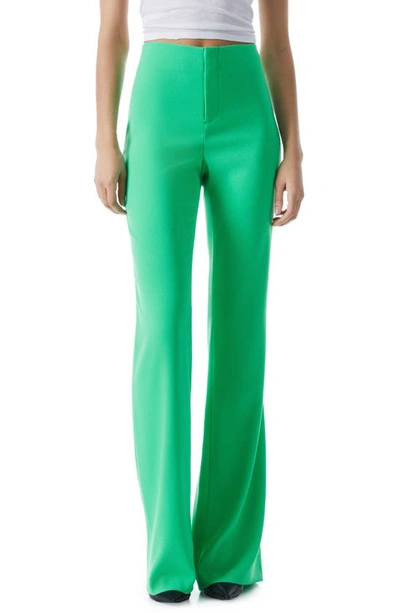 Alice And Olivia Teeny Flare Leg Bootcut Pants In Green