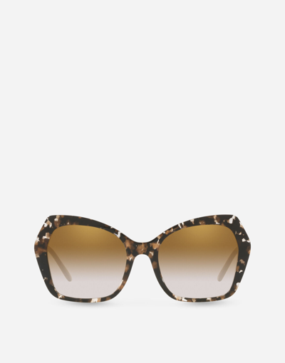 Dolce & Gabbana Sicilian Taste Sunglasses In Black Cube / Gold