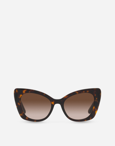 Dolce & Gabbana Dg Crossed Sunglasses In Havana