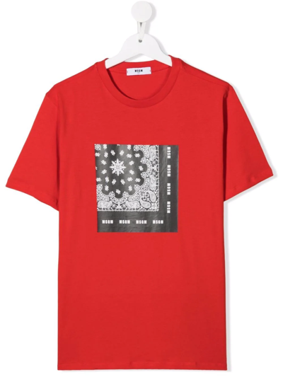 Msgm Kids' Bandana Print T-shirt In Red