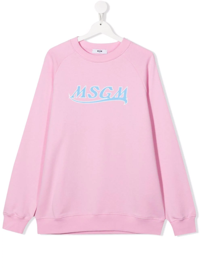 Msgm Teen Logo-print Crew Neck Sweatshirt In Pink