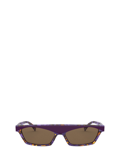 Alain Mikli A05055 Purple / Spotted Violet Tortoise Sunglasses In Black / Brown Tortoise Horn