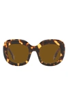 Oliver Peoples Jesson 52mm Polarized Square Sunglasses In Brown