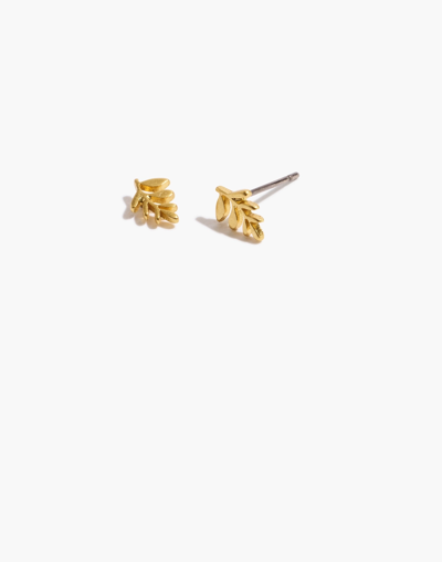 Mw Wildleaf Stud Earrings In Vintage Gold