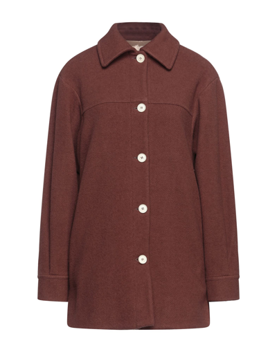 Alysi Coats In Cocoa