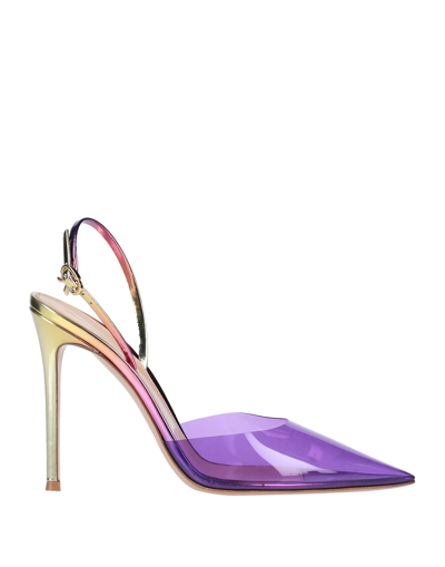 Gianvito Rossi Pumps In Purple