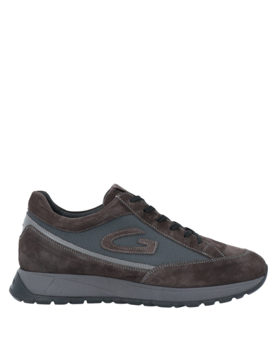 Alberto Guardiani Sneakers In Brown