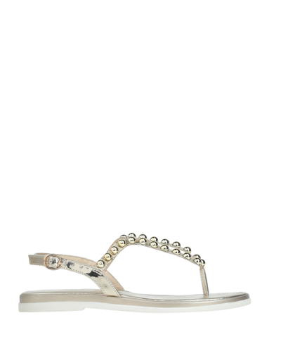 Carlo Pazolini Toe Strap Sandals In Grey