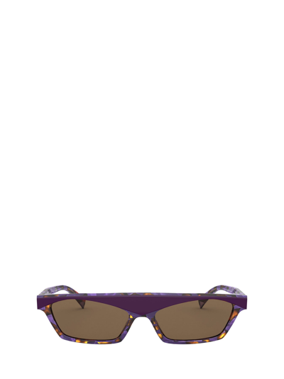 Alain Mikli A05055 Purple / Spotted Violet Tortoise Sunglasses In Black / Brown Tortoise Horn