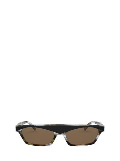 Alain Mikli A05055 Purple / Spotted Violet Tortoise Sunglasses In Black / Brown Tortoise Horn